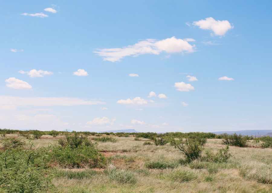 Dry rural West Texas field and brush of the kind served across the Abilene area